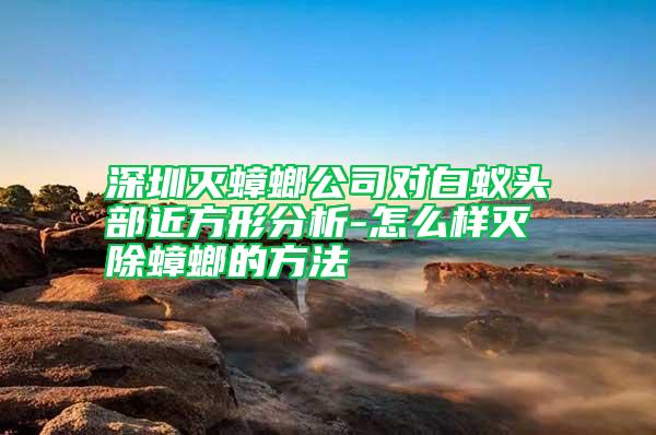 深圳滅蟑螂公司對(duì)白蟻頭部近方形分析-怎么樣滅除蟑螂的方法