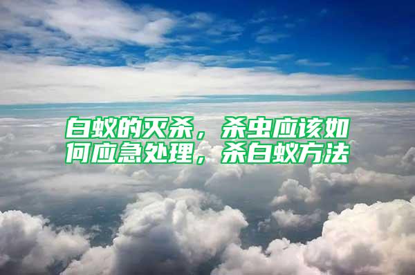 白蟻的滅殺，殺蟲應(yīng)該如何應(yīng)急處理，殺白蟻方法