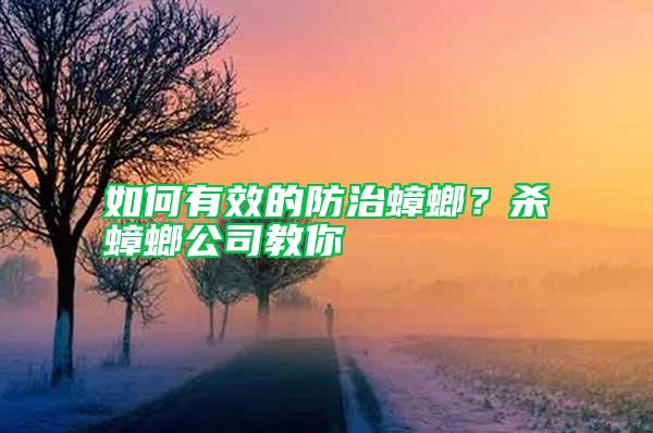 如何有效的防治蟑螂？殺蟑螂公司教你