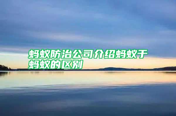 螞蟻防治公司介紹螞蟻于螞蟻的區(qū)別