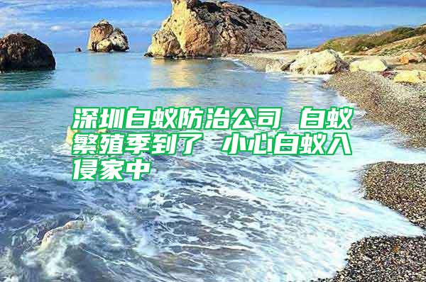 深圳白蟻防治公司 白蟻繁殖季到了 小心白蟻入侵家中