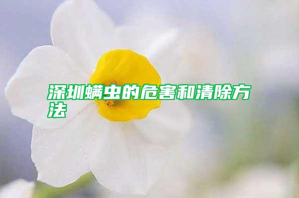 深圳螨蟲(chóng)的危害和清除方法