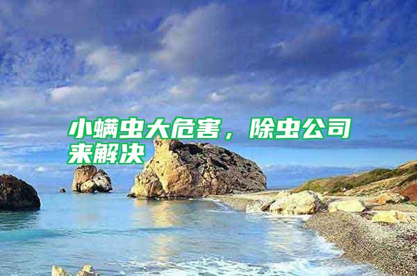 小螨蟲大危害，除蟲公司來解決