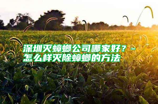 深圳滅蟑螂公司哪家好？-怎么樣滅除蟑螂的方法