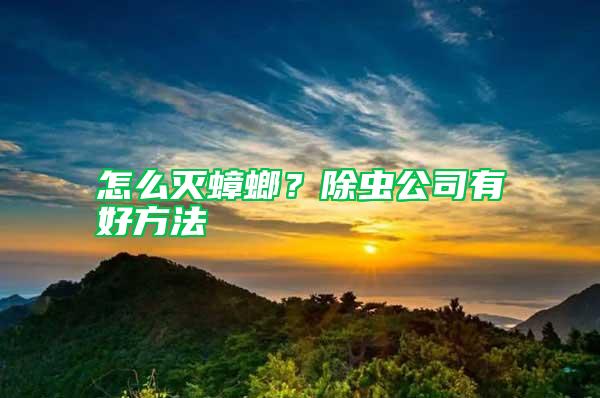 怎么滅蟑螂？除蟲(chóng)公司有好方法