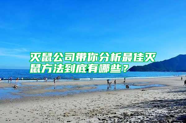 滅鼠公司帶你分析最佳滅鼠方法到底有哪些？