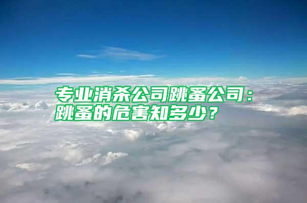 專業(yè)消殺公司跳蚤公司：跳蚤的危害知多少？