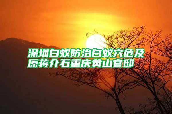 深圳白蟻防治白蟻穴危及原蔣介石重慶黃山官邸