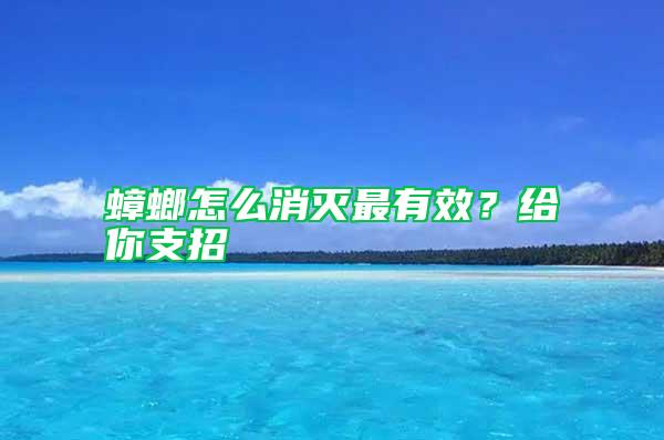 蟑螂怎么消滅最有效？給你支招