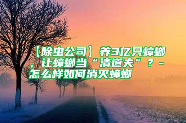 【除蟲公司】養(yǎng)3億只蟑螂，讓蟑螂當(dāng)“清道夫”？-怎么樣如何消滅蟑螂