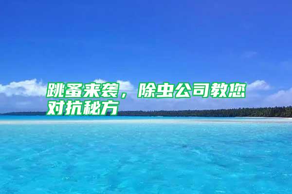 跳蚤來襲，除蟲公司教您對(duì)抗秘方